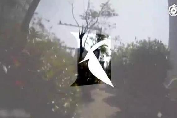 视频：女司机报警！交警到现场后竟然