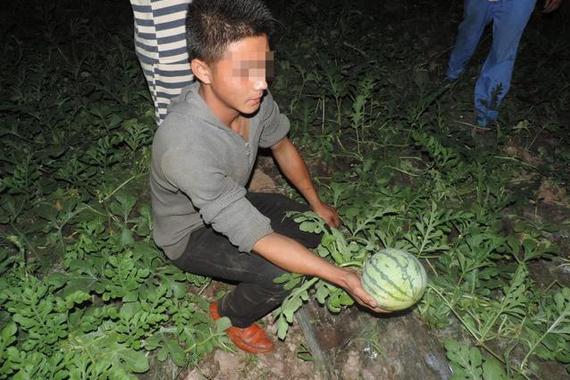 女瓜农深夜驾车狂追4公里 偷瓜贼主动报警