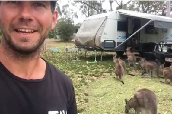 视频：一只袋鼠参观了房车后 第二天竟然