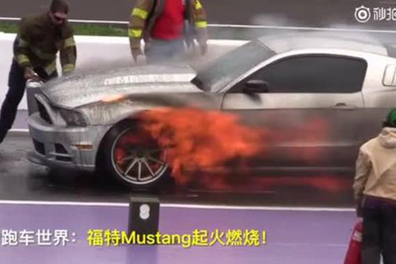 视频：激情燃烧野马——夏季注意防火哦