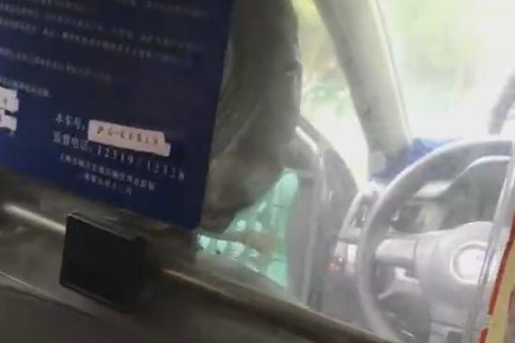 视频：出租司机猛踹女乘客 扬言“踩死你”