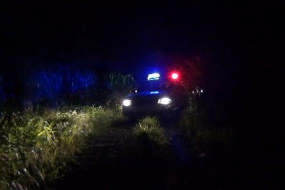 驴友被救怕猎犬：这狗咬人吗？