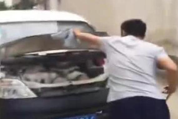 视频：眼镜王蛇钻进车里 民警合力解决