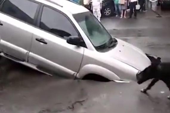 视频：司机遇上这种事 心里别提多难受