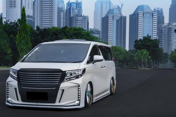 硕大便是美！丰田Alphard趴地之选