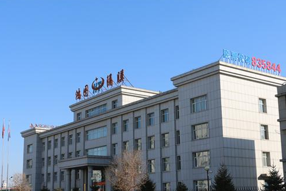 多路资本争抢新能源车市场 蛋糕” 准入门槛提高