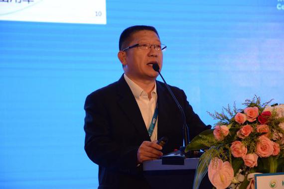 何龙：到2019年比亚迪将新建10GWh产能电池厂