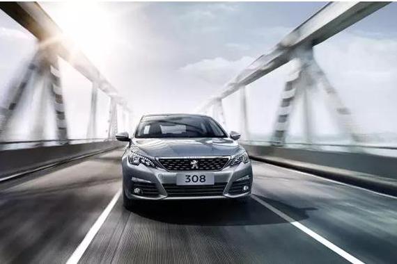 小辛巴，请配合检查！