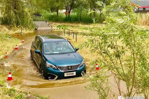 体贴的“狮子王”标致5008