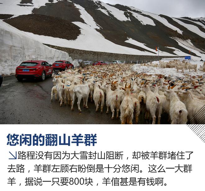 翻越天山体验四季 CX-4秘境探索之旅游记