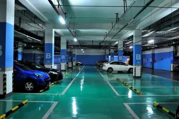 危险！女司机看了能保命