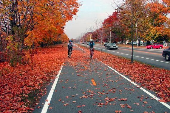 堵堵堵堵！这些地方都在为自行车架专用高速公路