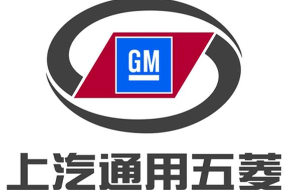 戴伟睿接替顾思沃 将任上汽通用五菱执行副总