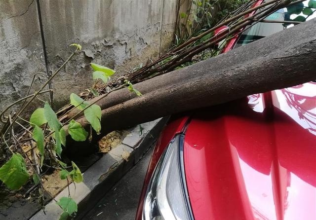吴彦祖竟被“路虎”吓到了?快看本周热点汽车趣闻大事件