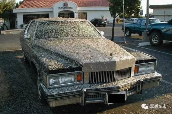 免费停车没有错 但这样乱停可能会招来无妄之灾