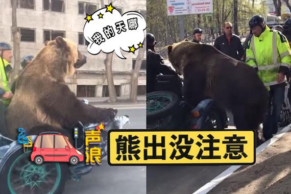 汽车声浪：太污！奇葩网红竟搞这样的直播！