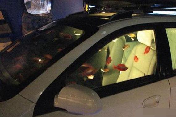 饭店老板频繁购买二手车，店里生意却因此变得更火爆