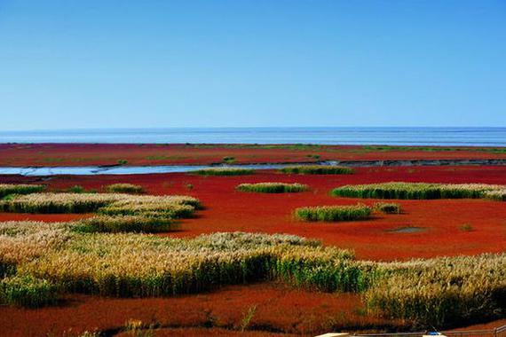 叹红海滩奇观、赏燕塞湖山水、体验游船餐厅特色之旅