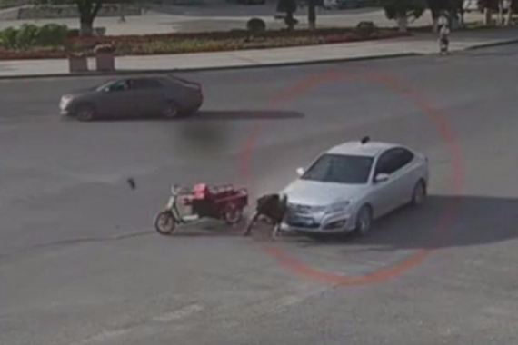 视频：肆无忌惮闯红灯 车祸不可避免！