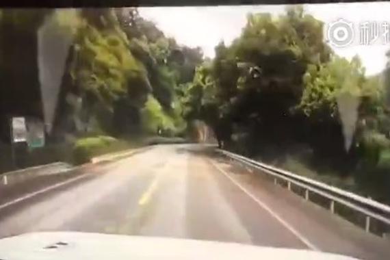 不是五菱还敢这么干，敬你是条汉子