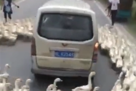 视频：神车也带上“涡轮增压”了