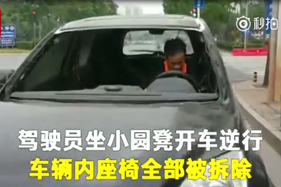 视频：同时违反10条交规？奇葩司机做到了