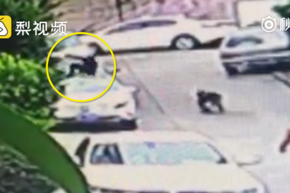 两熊孩子多次踩踏奥迪车，同伴帮录像