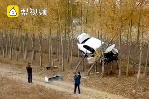 还有这个操作？小车树林旁突然腾空上树，司机一脸懵圈