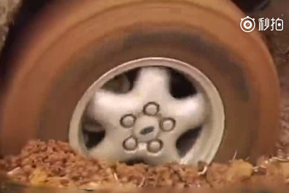 车胎陷进泥里怎样脱身 让你分分钟自救