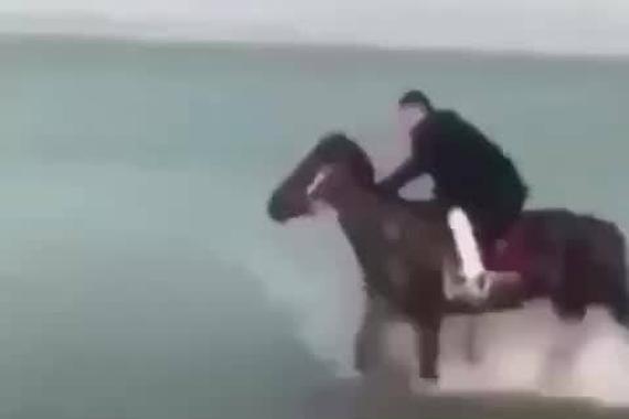 十秒钟了解宝马3系和宝马5系的区别