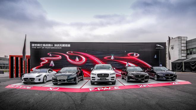 闯进“无限弯道”里的豹