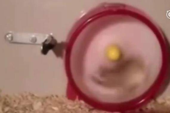 太形象！当你高速行驶时不小心挂错档