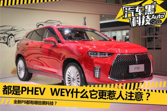 都是PHEV WEY什么它更惹人注意？