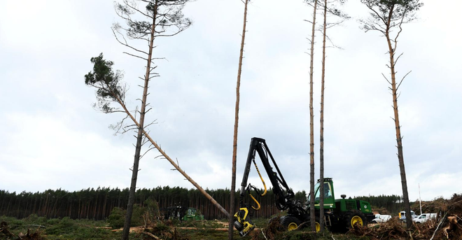 获当地法院批准 特斯拉德国超级工厂继续开建