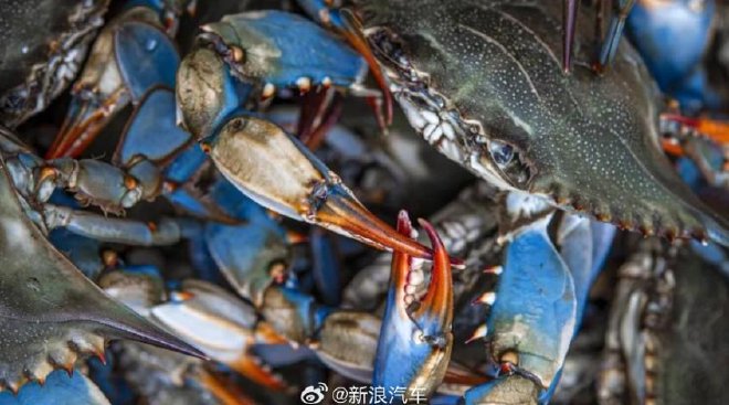 车圈热搜 小鹏获大众7亿美元投资 平均2.5辆新能源车一根充电桩