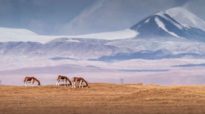 奔驰第13届中国可持续发展对话会开启