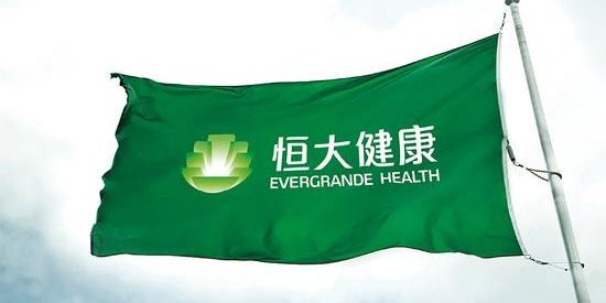 买完NEVS 又买卡耐新能源 许家印的造车梦“买买买”就能实现？