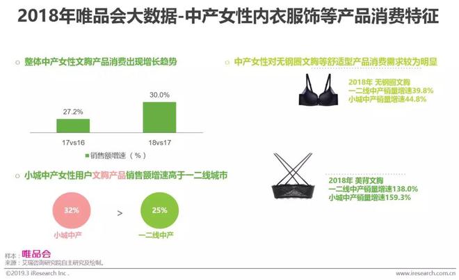 2019年中国中产女性消费报告