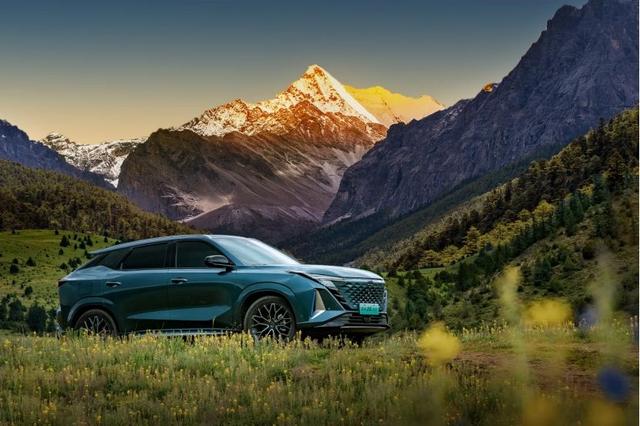 油电同价时代已来!5月新能源江湖一片“混”战