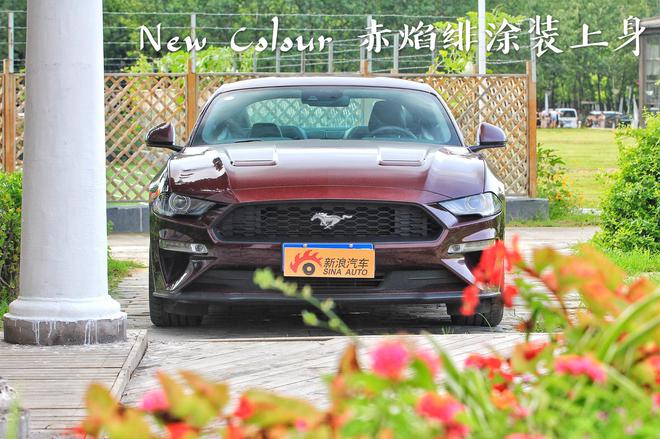 车影志：爱上这一匹“野马” 福特Mustang