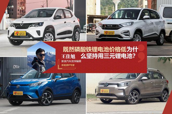 既然磷酸铁锂电池价格低 那为什么入门车型仍坚持使用三元锂电池?