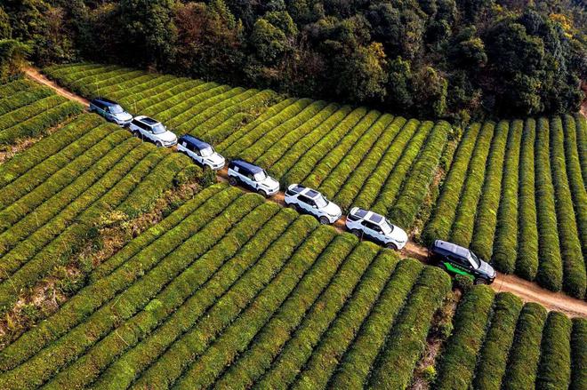 2020 LADY FIRST路虎探索之旅全地形越野挑战