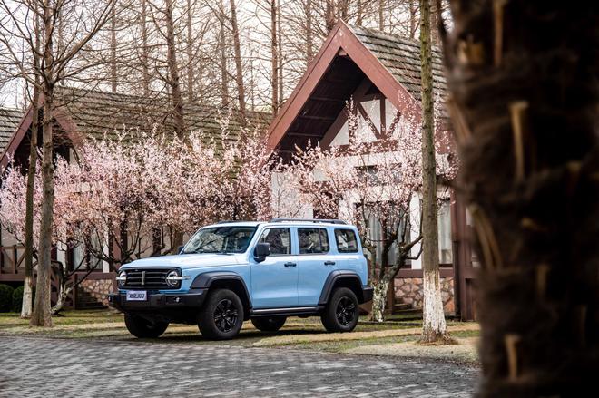 限量销售300台 坦克300致敬莫奈限定版售价22万元