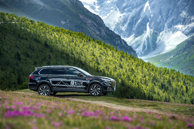 2020 大变局中向阳而生 红旗品牌韧性成长