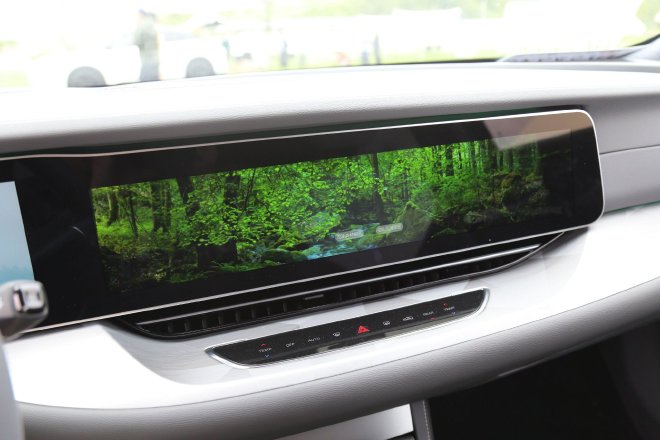 主打的就是一个健康 试极狐阿尔法S森林版