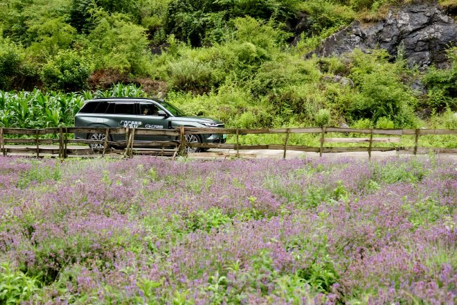 广汽新能源车队实地探访李子村芳香产业种植基地