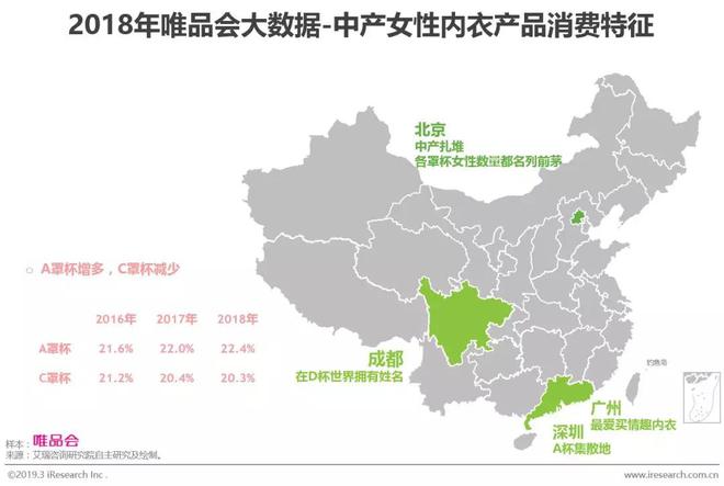 2019年中国中产女性消费报告