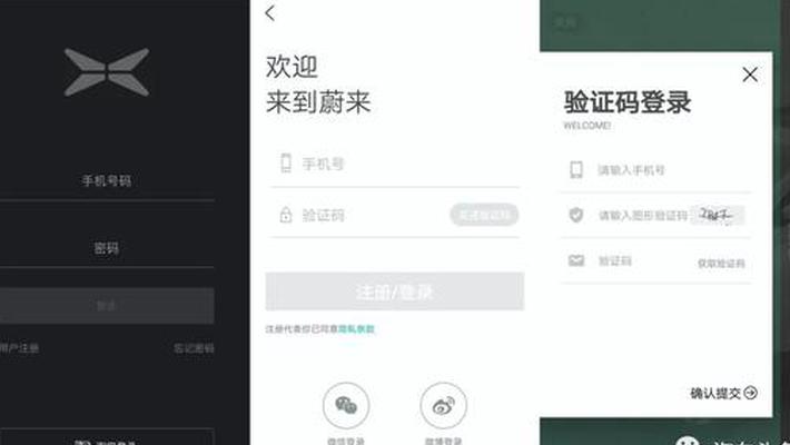 喜忧堪半|当PPT造车已入历史 新晋车企如何角力APP？