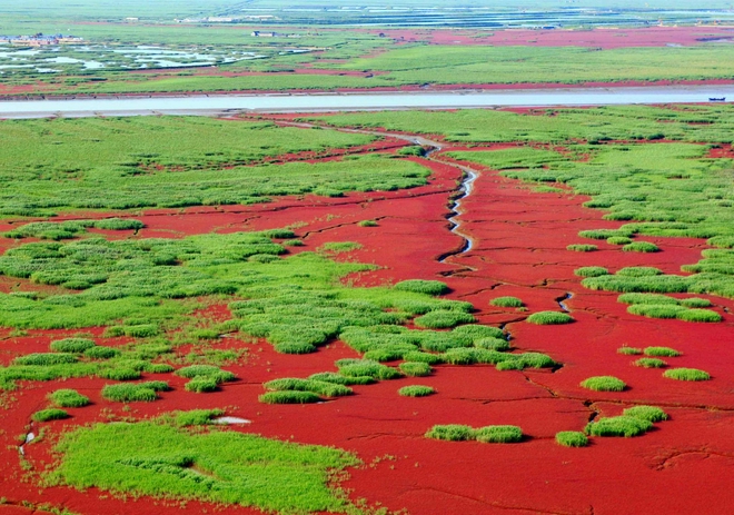 助力生物多样性保护 宝马发布“BMW美丽家园行动”