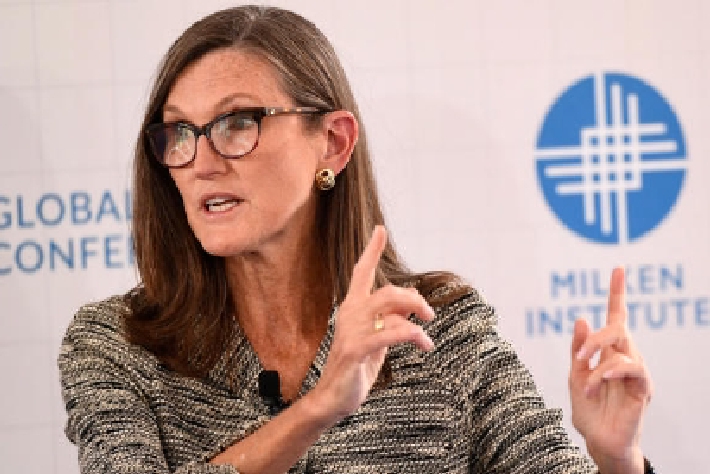 福特和通用跑赢特斯拉 “木头姐”高呼太荒谬